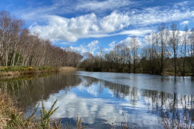 Photograph of pretty pond at Bramshill