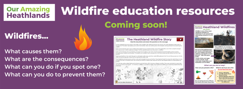 Wildfire education resources coming soon