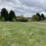 Photograph of meadows in spring at Blue Mountain