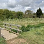 Photograph of bridge across a stream