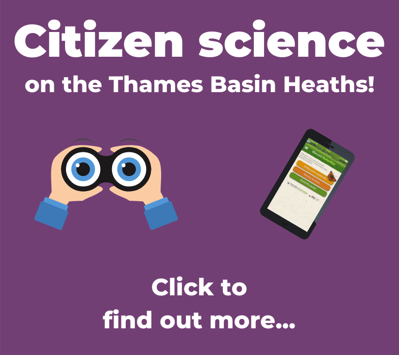 A button to click to find out more about citizen science