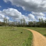 Photograph of a meadow path