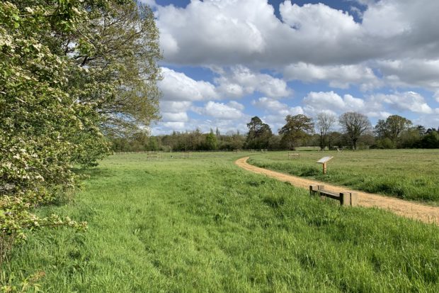 Photograph of a meadow with bench and noticeboard