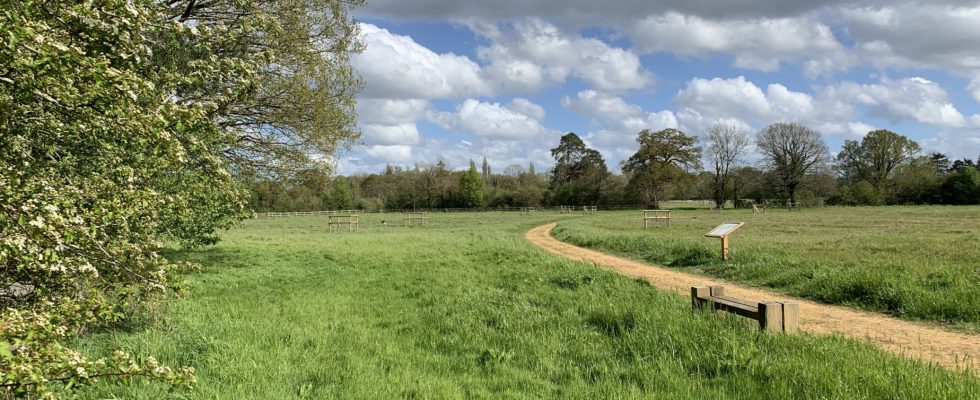 Photograph of a meadow with bench and noticeboard