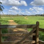 Photograph of a gate leading into a meadow