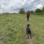 Dog walker at Horsley Meadows May 2021