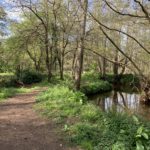 Path beside the Hoe Stream