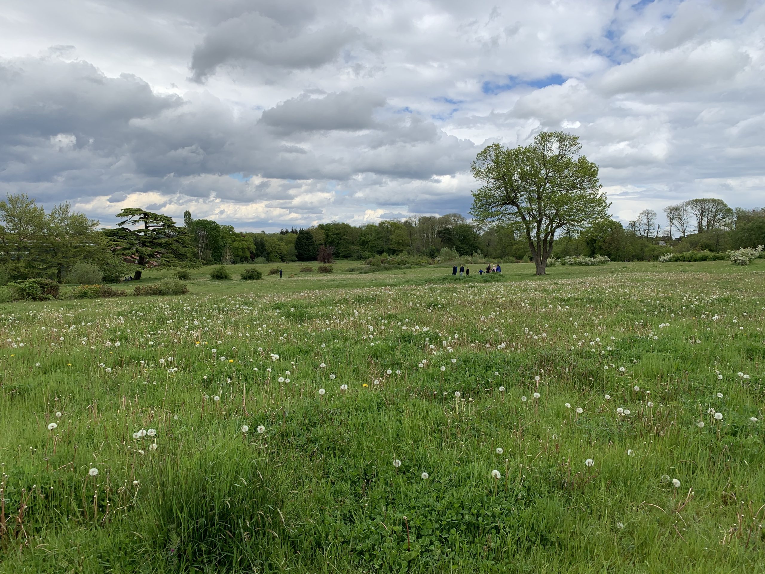 Earlswood Park Thames Basin Heaths