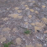 Photograph of the sandy ground at the sand pit, showing small mounds of soil.