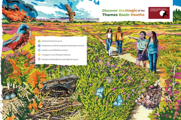 On the cover of our new leaflet is a painting of heathland in summer, showing nightjar and Dartford warbler in the foreground, people walking along a path, a woodlark flying overhead, and a wildlife blazing in the distance