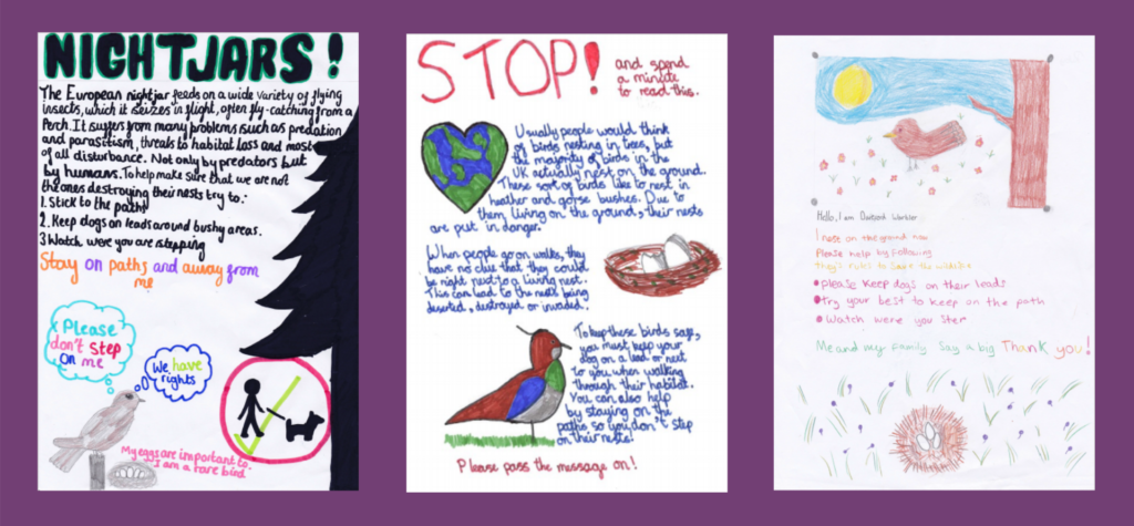 A selection of school children's posters helping to protect ground-nesting birds