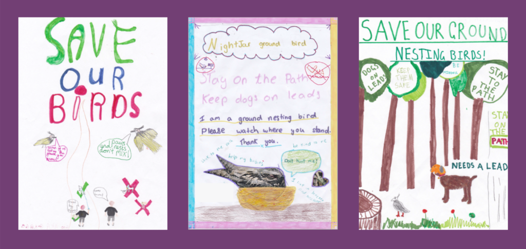 A selection of school children's posters helping to protect ground-nesting birds