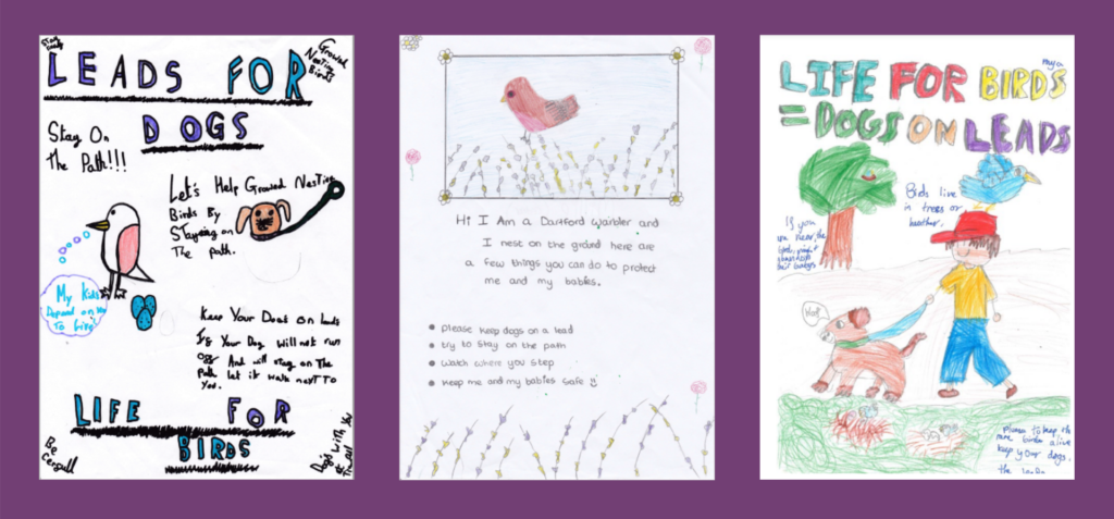 A selection of school children's posters helping to protect ground-nesting birds