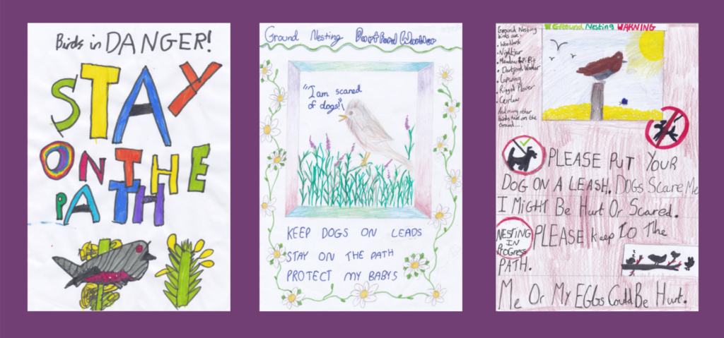 A selection of school children's posters helping to protect ground-nesting birds