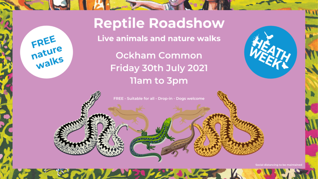 Heath Week event poster showing reptiles