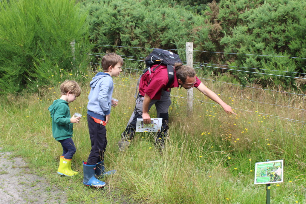 Photograph of Warden Andi pointing out a butterfly to two attentive children