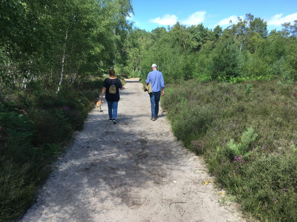 Photograph of walkers walking along a heathland path