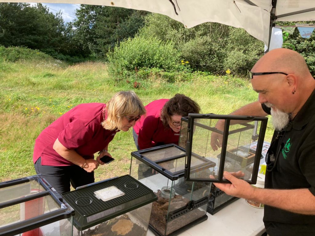 Photograph of Warden Val and Project Manager Ruth having a good look at the reptiles