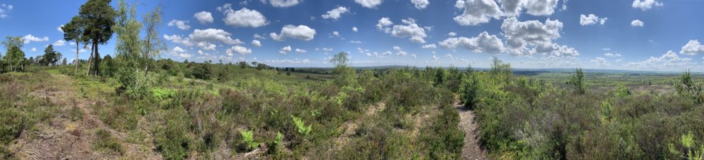 Blue sky and fluffy white clouds above the gorgeous green heathland