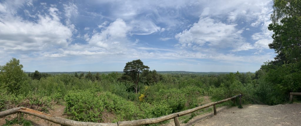 Green, wooded landscape stretching off into the distance