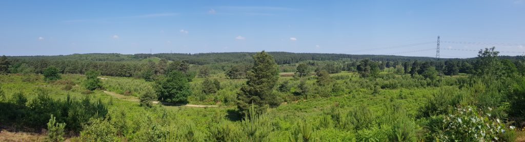 Panoramic photograph of green countryside and forested landscape on the horizon