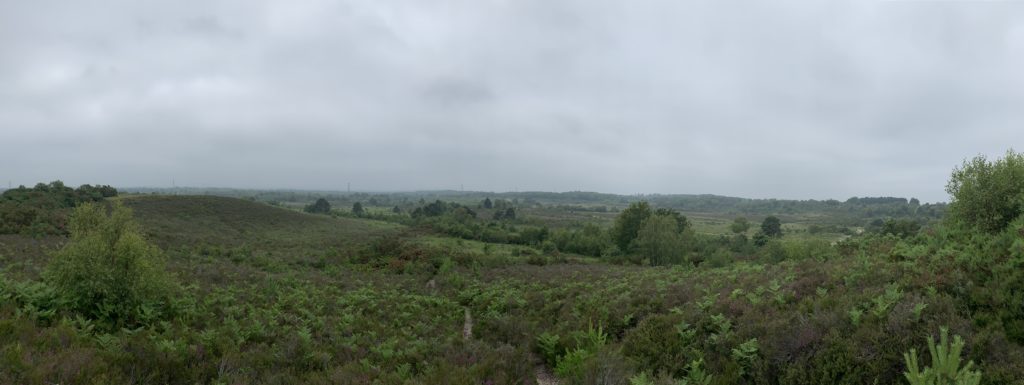 Panoramic view of the heathland stretching into the distance