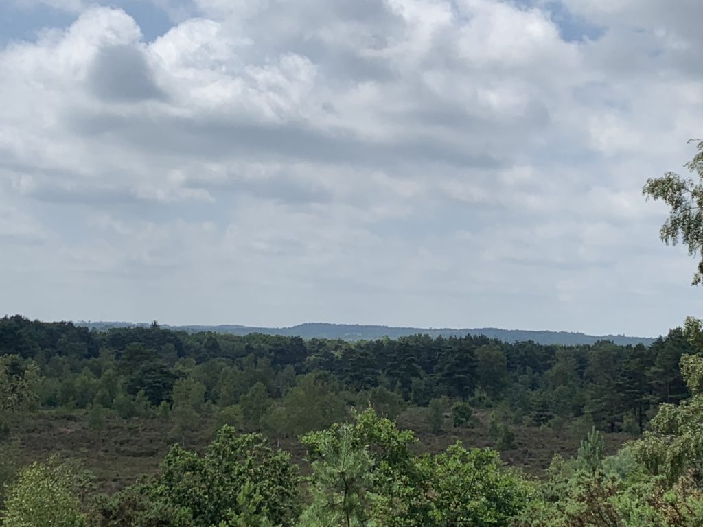 Green landscape with wooded hills in the distance