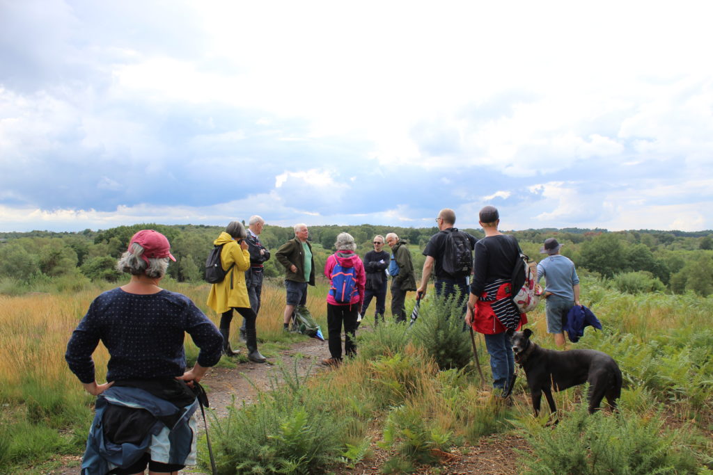 Group gathered on a hill at Chobham Common.