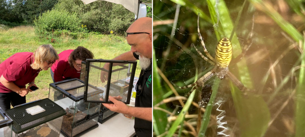 Photograph of Ruth and Warden Val peering into the taks brought along by HIWARG (left) and the wasp spider (right)