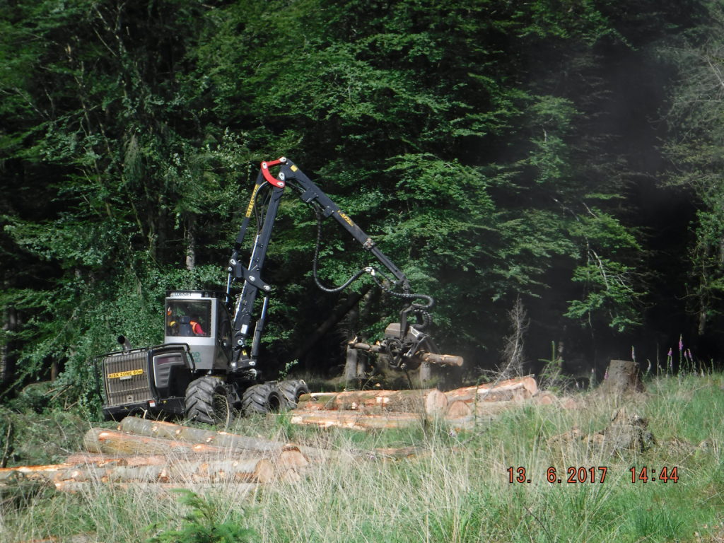 Forest harvesting machinery at work June 2017