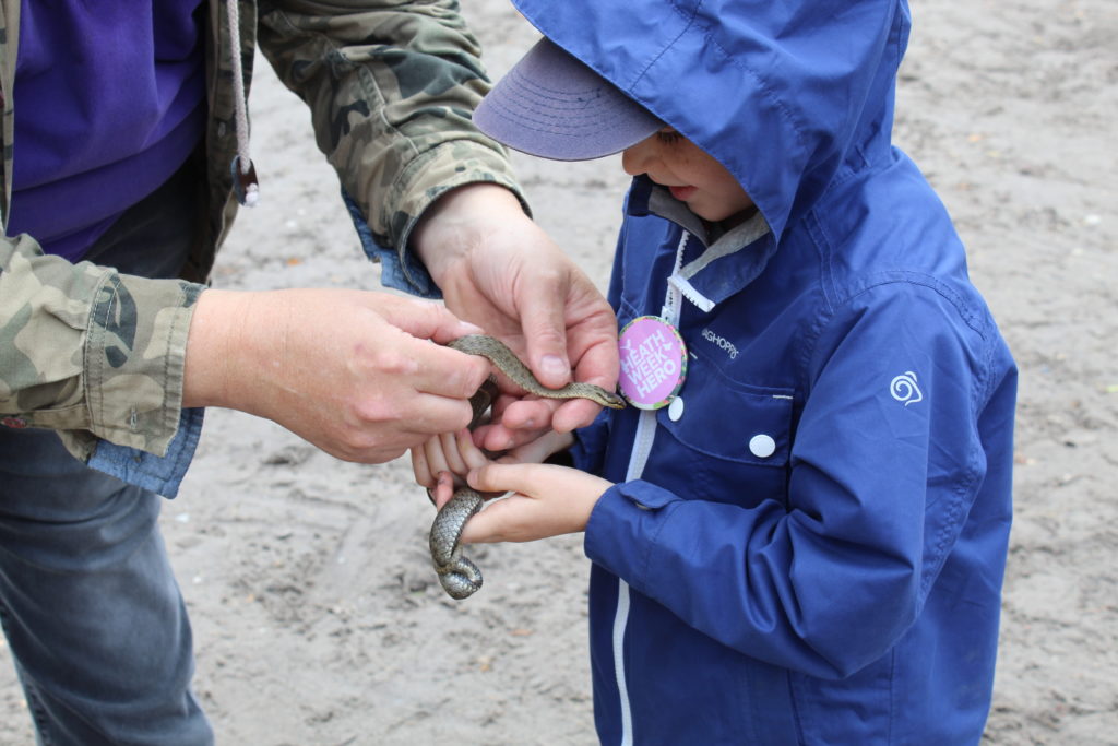 Member of ARC team helping a small child hold a smooth snake.