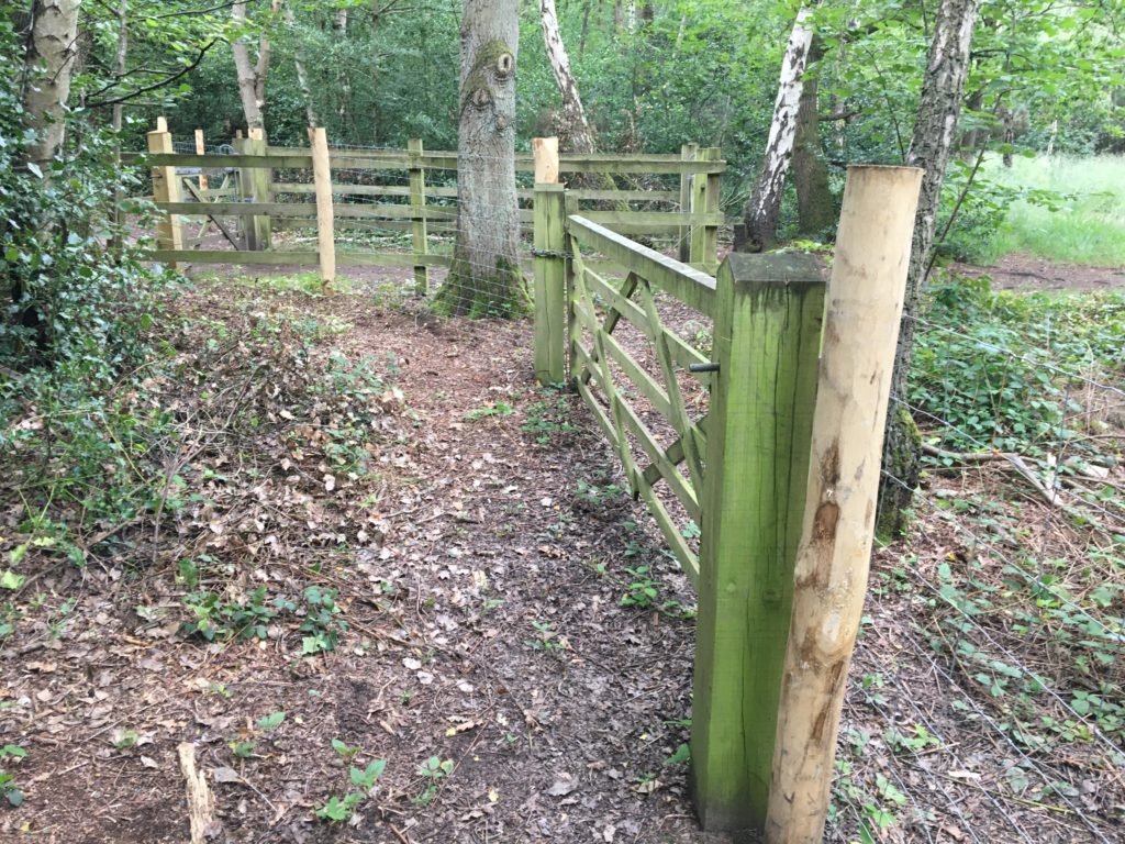 Photograph of stock fence at Horsell Birch