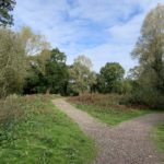 Photograph of the path at Swan Lake Park