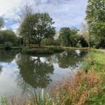 Photograph of the path at Swan Lake Park