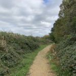 Photograph of a footpath