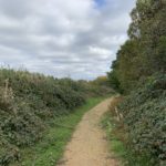 Photograph of a footpath