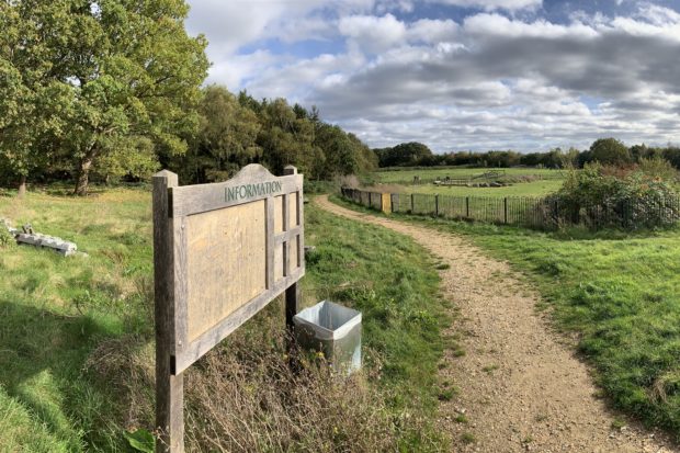 Panorama of the view across pay area and meadow