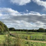 Panorama of the view across pay area and meadow