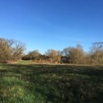 Photograph of the view across the meadow at Swan Lake Park