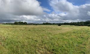 Panoramic photograph of the meadows