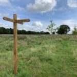 Sign post offering choice of routes