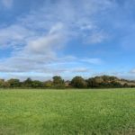 Panoramic view of the meadows in early autumn, showing mown path through the meadow