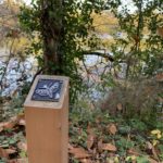 Photo of a post with a butterfly brass label