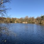 Photo looking across the lake