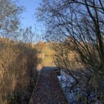 Photo looking down a boardwalk and across the lake