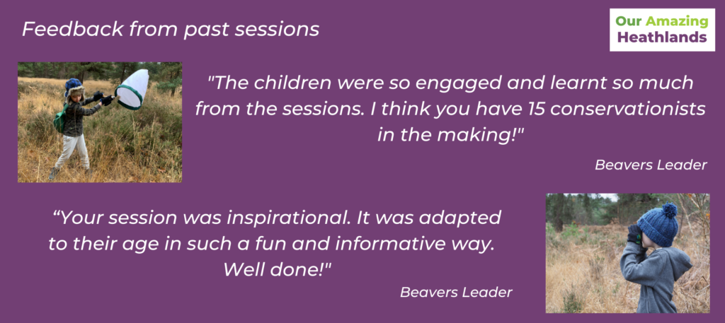 Testimonials from beavers leaders