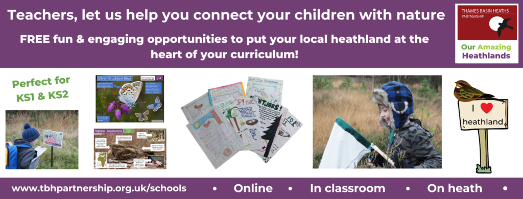 A banner detailing opportunities for teachers to find out more about educational opportunities