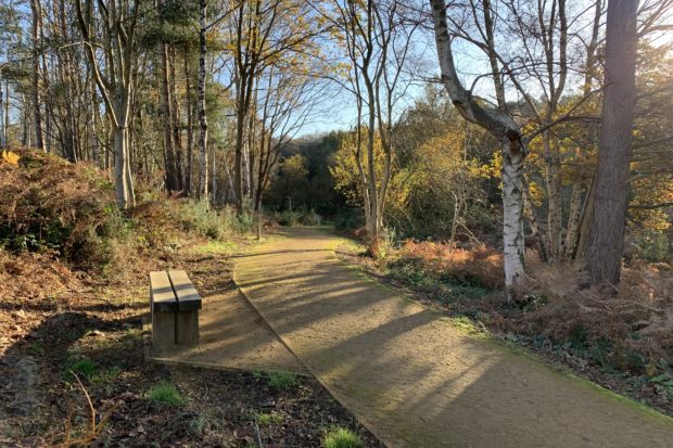 Photo a well surfaced path and a bench in woodland in autumn