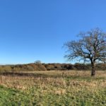 Panoramic of the view across Piglittle Field