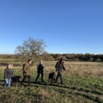 Photo of a group of dog walkers walking along a mown path